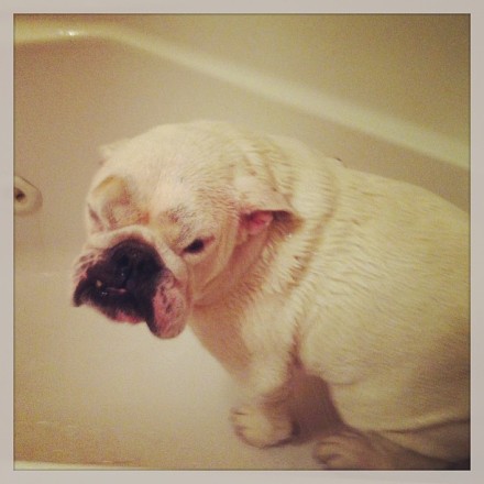 Bath time   -  blegh!
